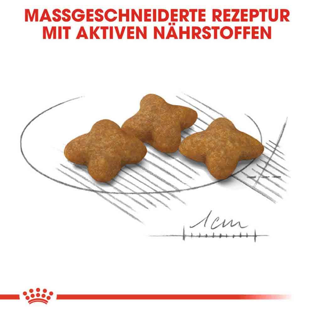 Royal Canin Sterilised X-SMALL Trockenfutter für kastrierte sehr kleine Hunde_4