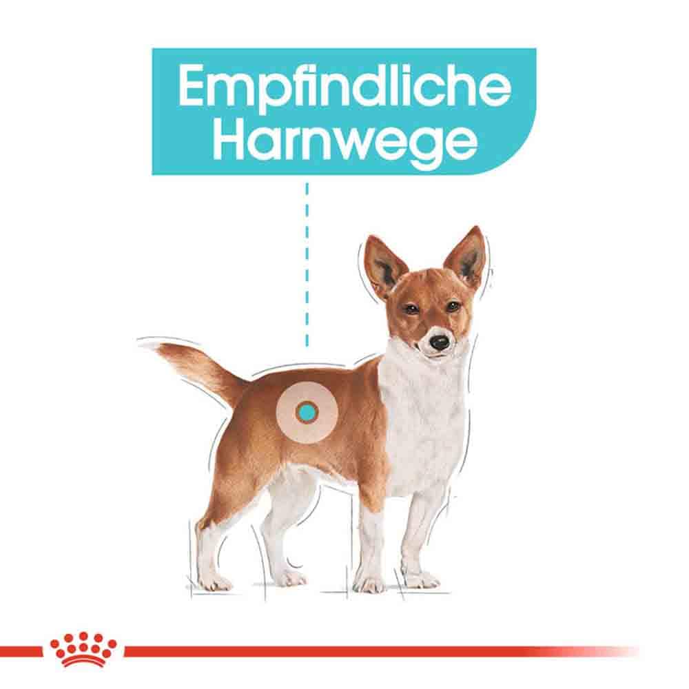 Royal Canin Urinary Care Nassfutter für Hunde mit empfindlichen Harnwegen_2
