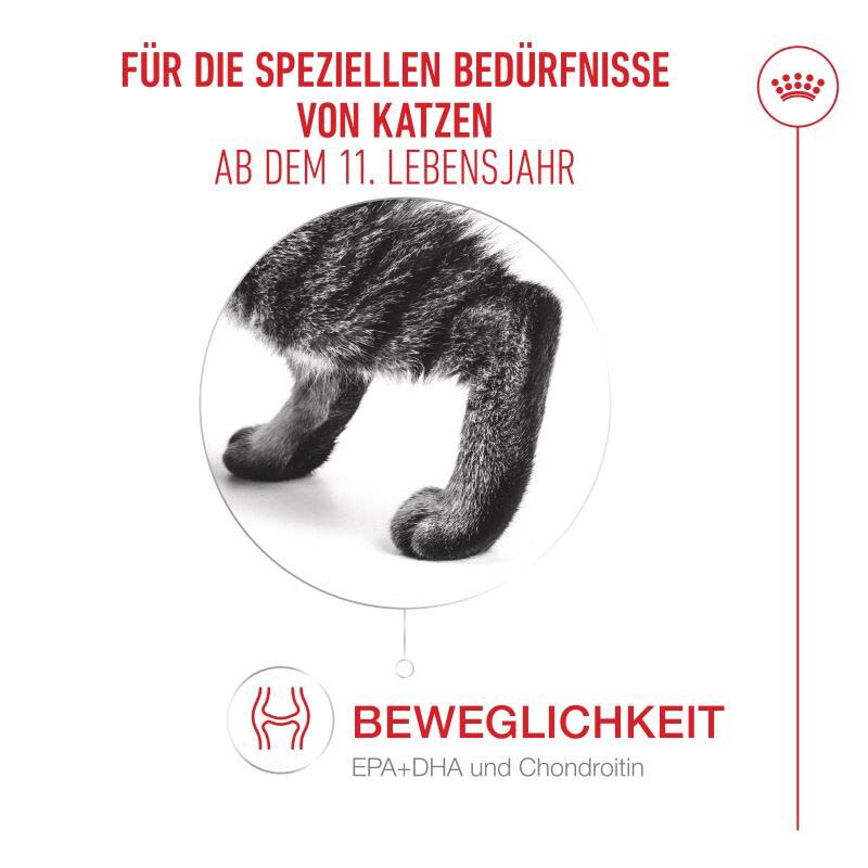 Royal Canin Ageing 11+ Ultra Soft Mousse Feuchtnahrung für Katzen_2