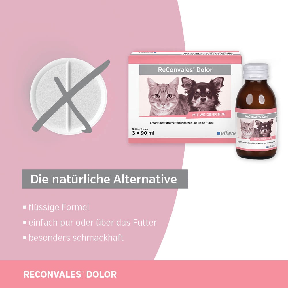 Alfavet ReConvales Dolor_3