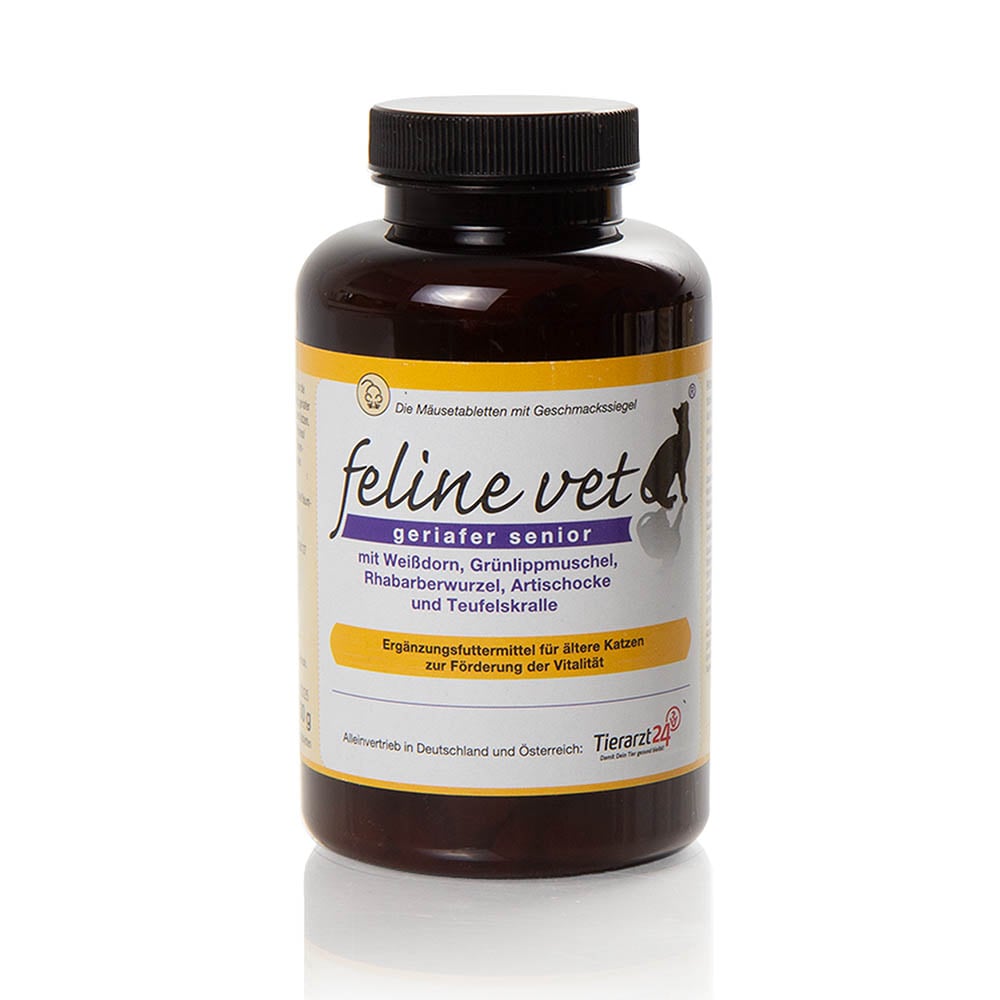 Feline Vet Geriafer Senior_0