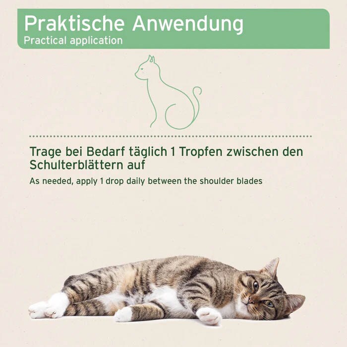 AniForte Ectoprotex Spot-on für Katzen_2