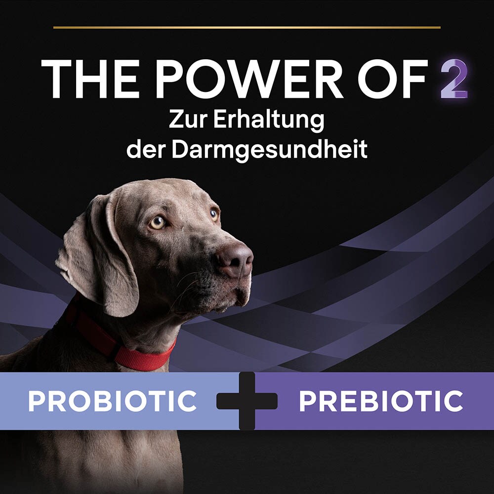 Purina Pro Plan FortiFlora Plus für Hunde_2