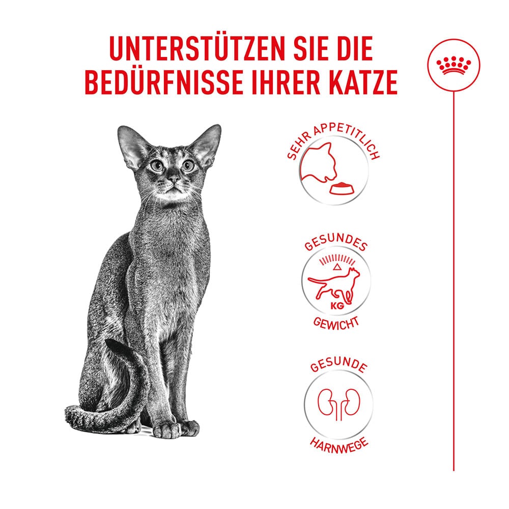 Royal Canin Fussy Exigent Trockennahrung für wählerische Katzen_2