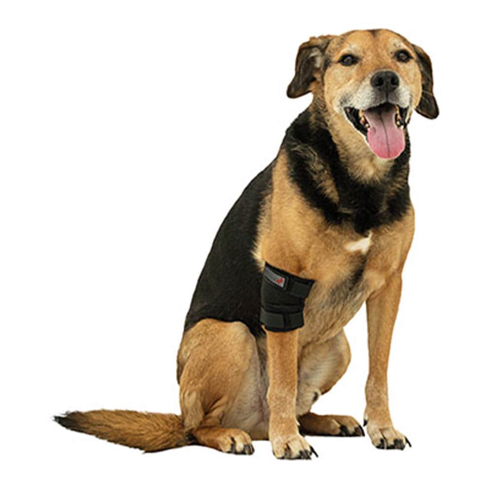 Tierarzt24 Neopren Ellenbogenprotektor _0