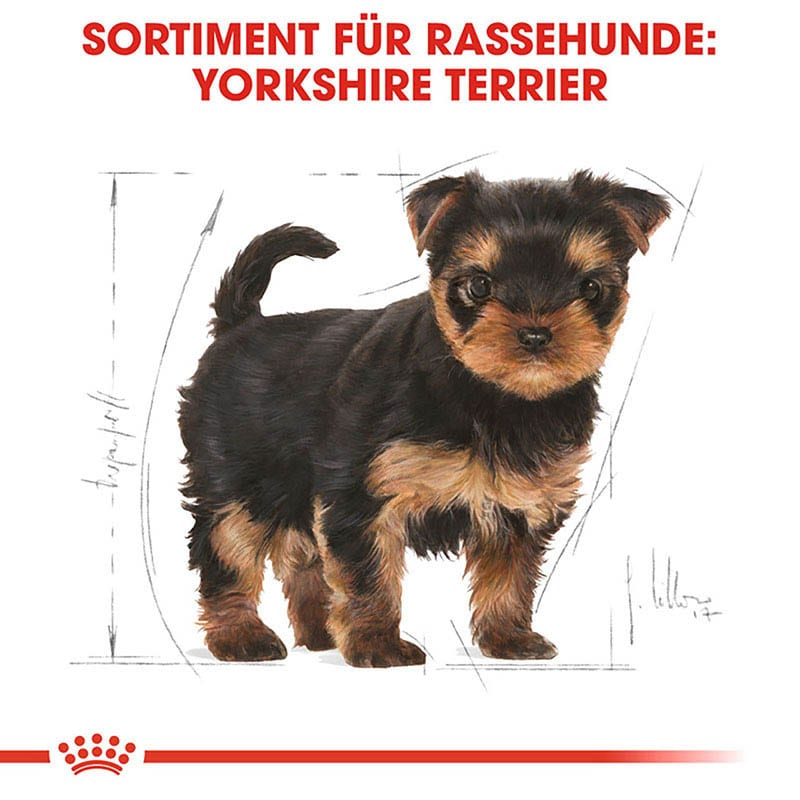 Royal Canin Yorkshire Terrier Puppy Welpenfutter trocken_2