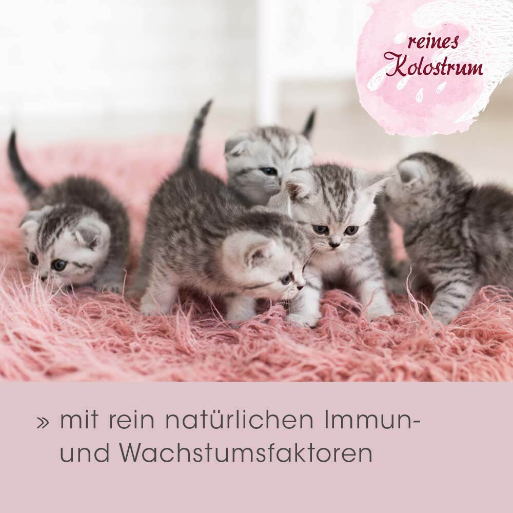 cdVet feliTATZ ImmunKraft_2