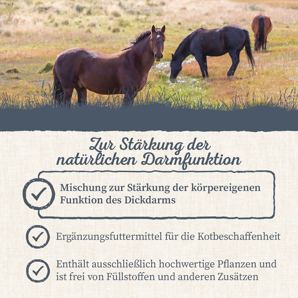 Krauterie Darm und Wasser Kräuter für Pferde_4