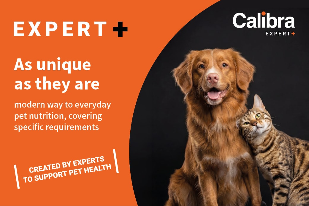 Expert+