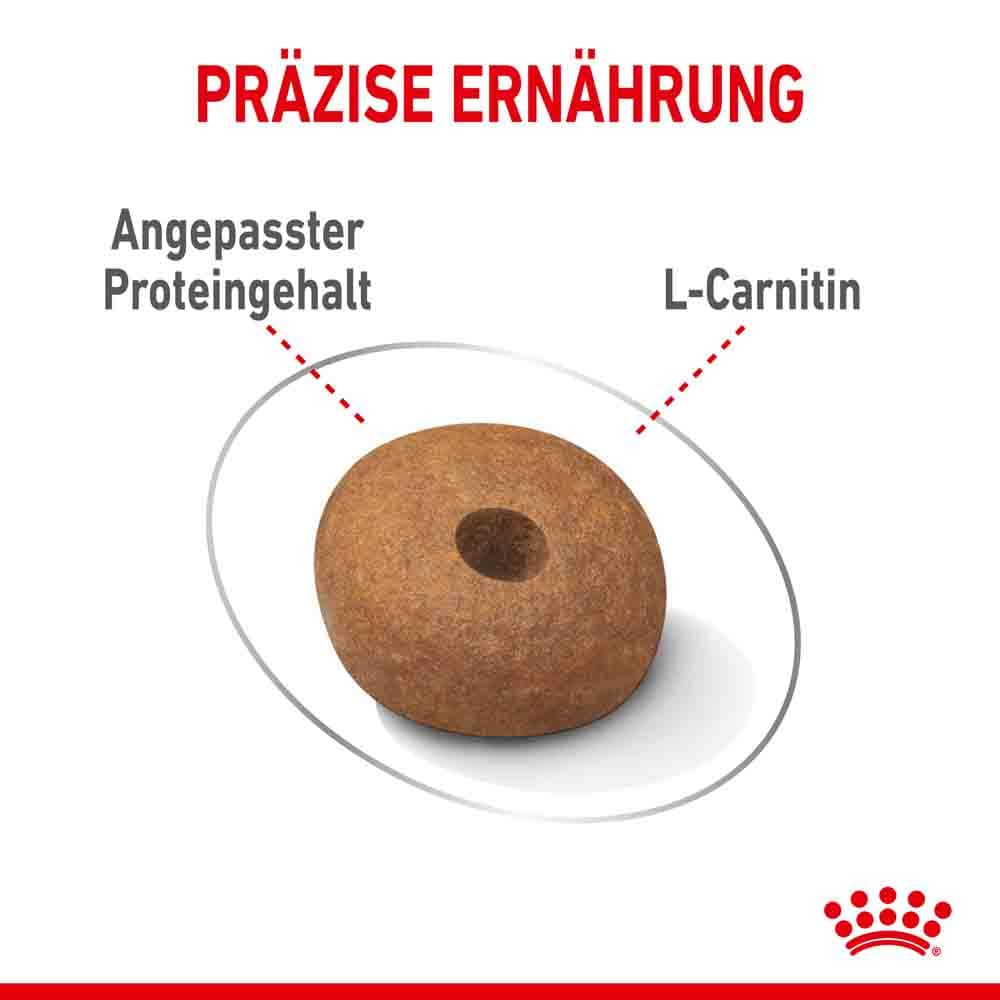 Royal Canin light weight care Medium Trockenfutter für zu Übergewicht neigenden Hunden _4