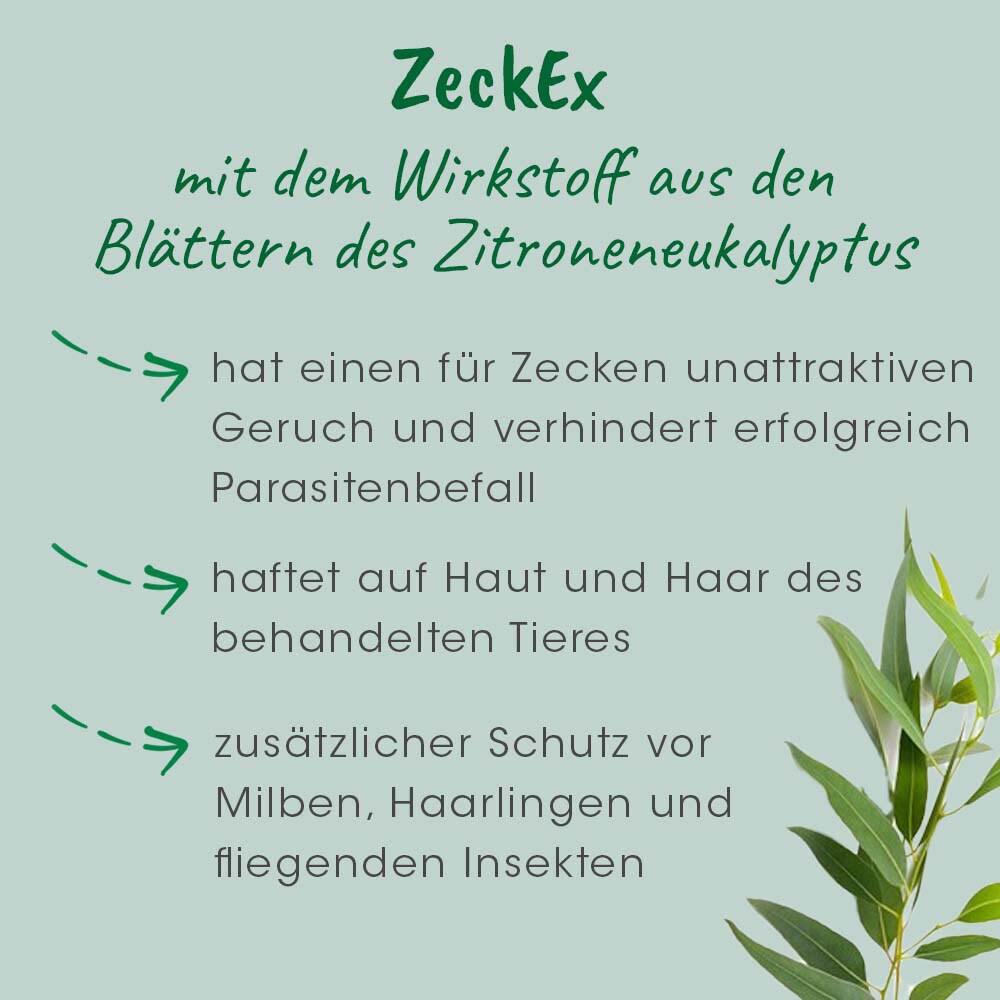 cdVet ZeckEx_5
