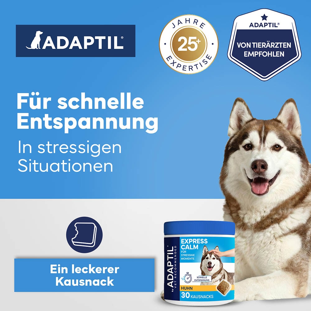 Adaptil Express Calm Chews_1