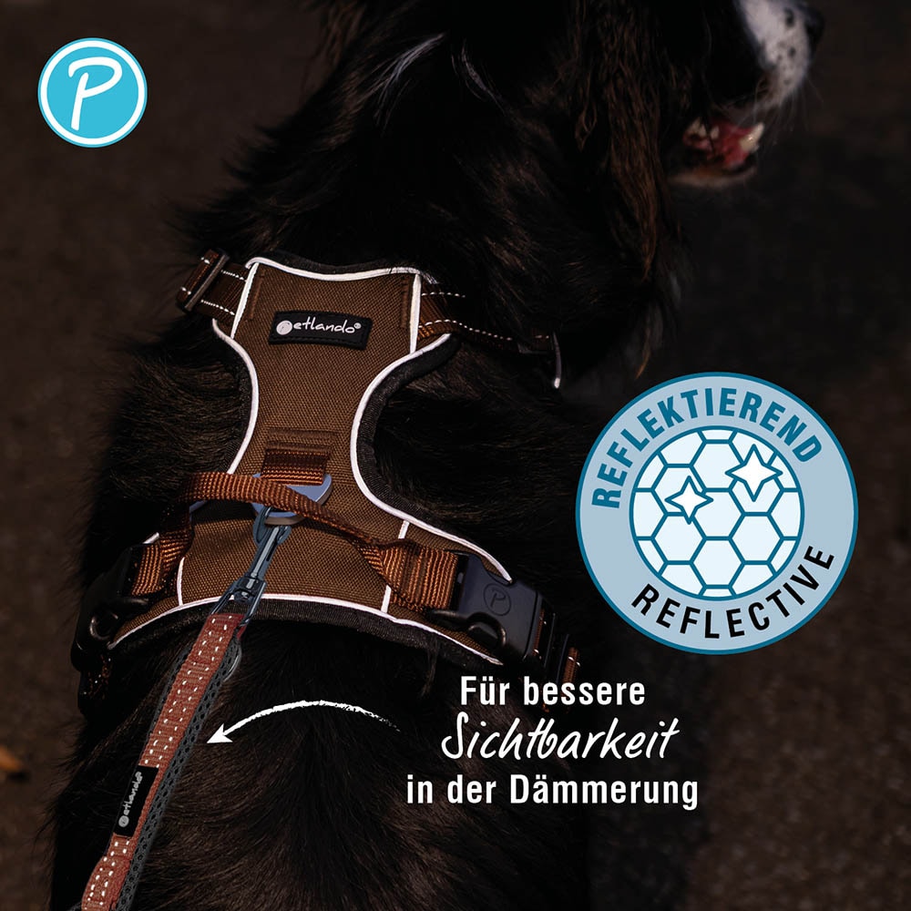 Petlando Outdoor Führleine mokka_2