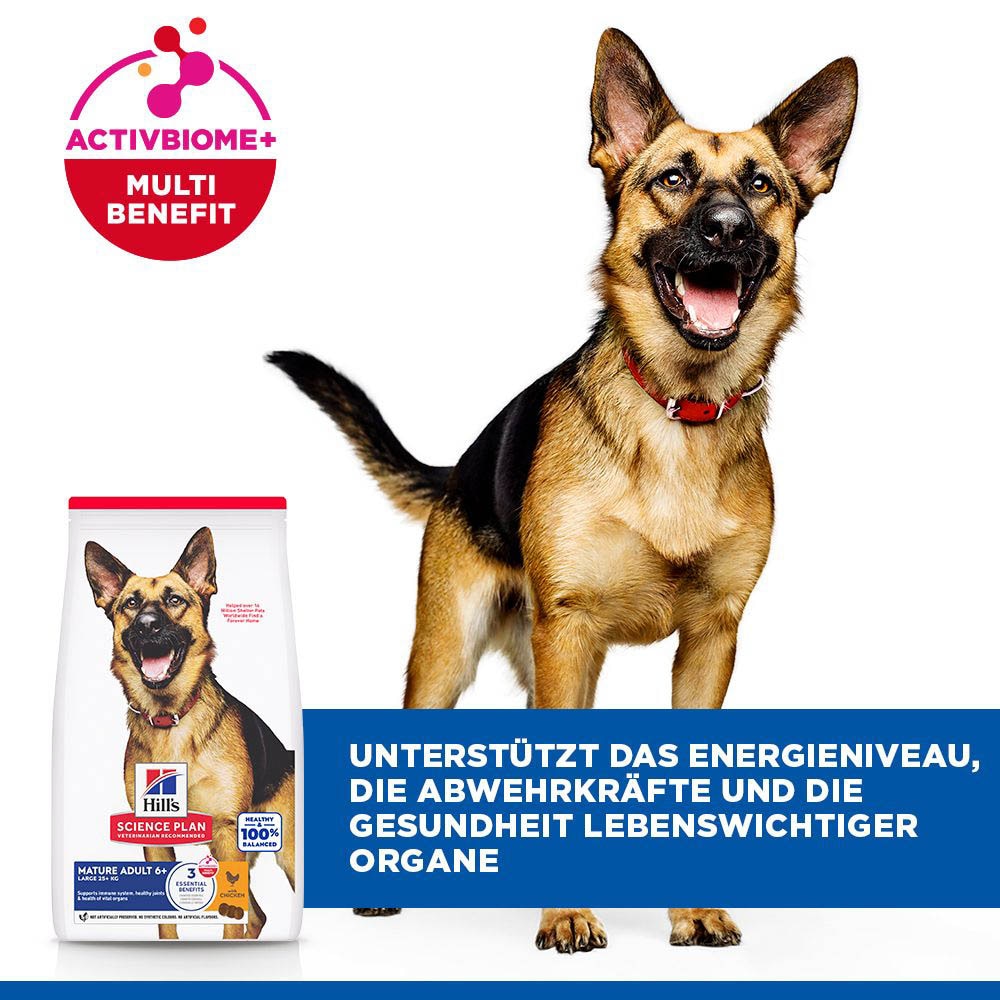 Hills Science Plan Mature Adult 6+ Large Breed mit Huhn Trockenfutter für Hunde_5