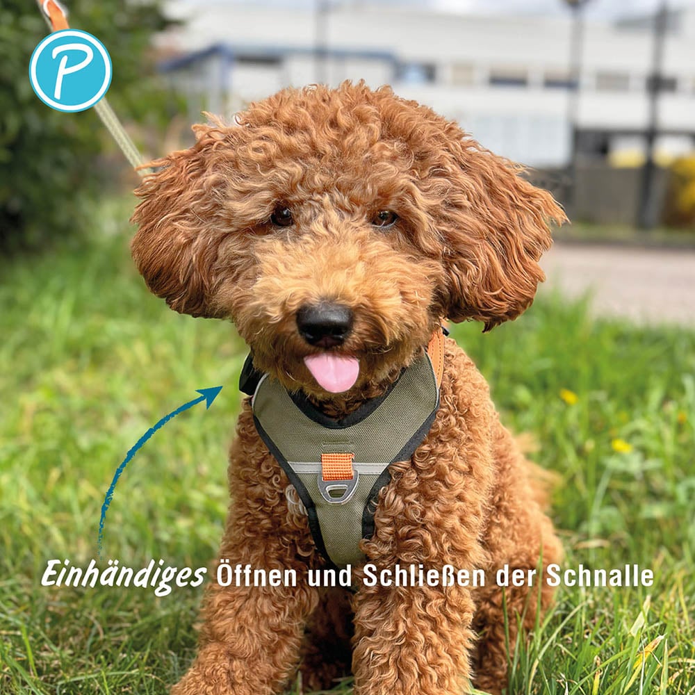 Petlando Magnetech Geschirr olive/orange_4