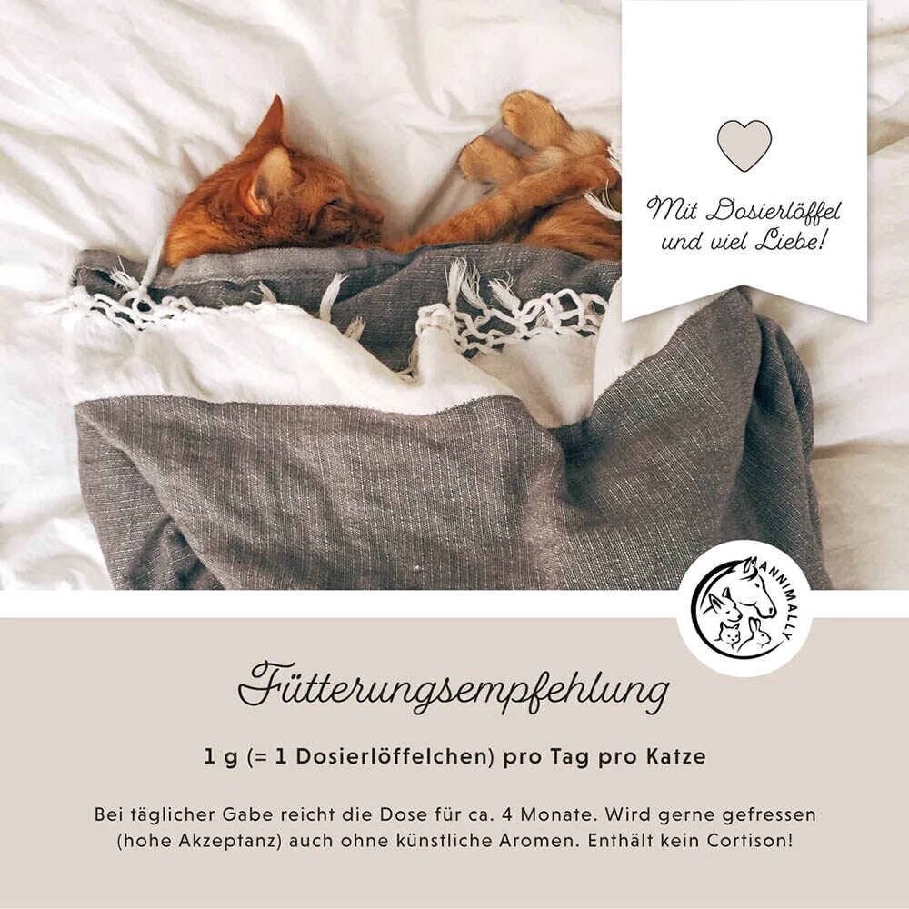 Annimally Gelenk Komplex_5