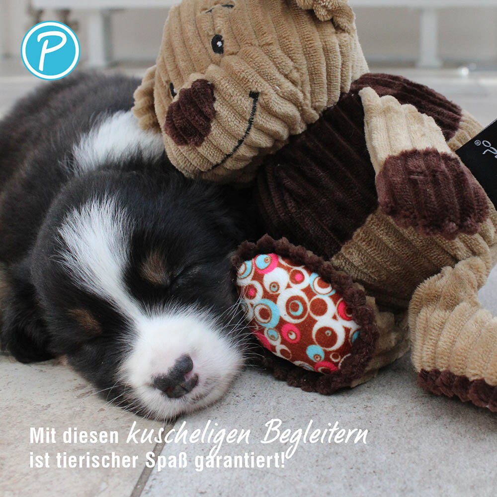 Petlando Moodles Kuscheltier Bär Rudi_3