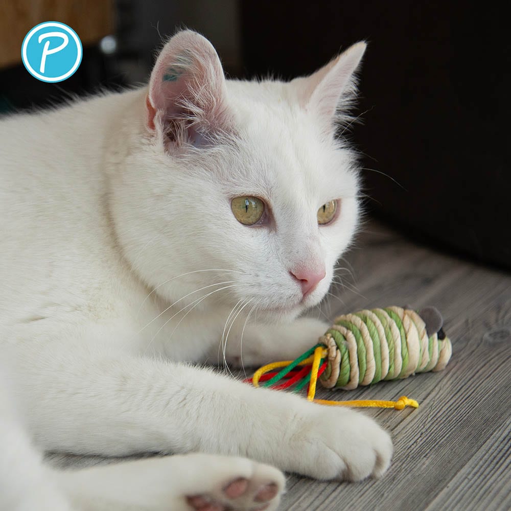 Petlando Katzenspielzeug Papiermaus_2