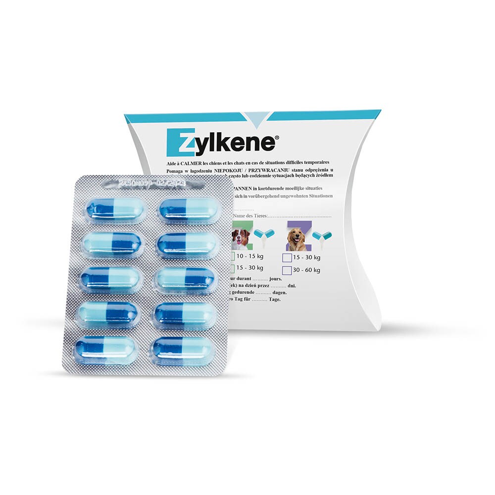 Zylkene Kapseln für große Hunde_1