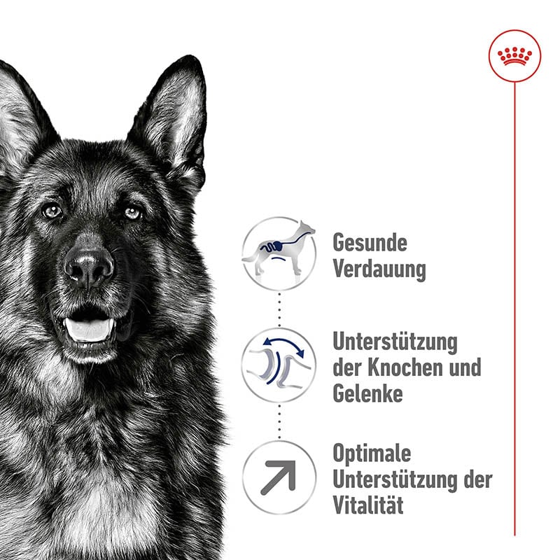 Royal Canin Maxi Adult 5+ Trockenfutter für ältere große Hunde_1