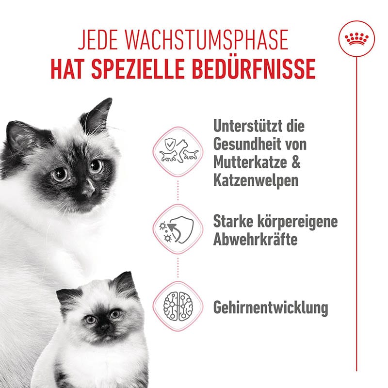 Royal Canin Mother & Babycat Katzenfutter für tragende Katzen und Kitten_1