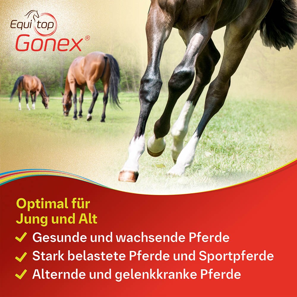 Boehringer Ingelheim Equitop Gonex_5