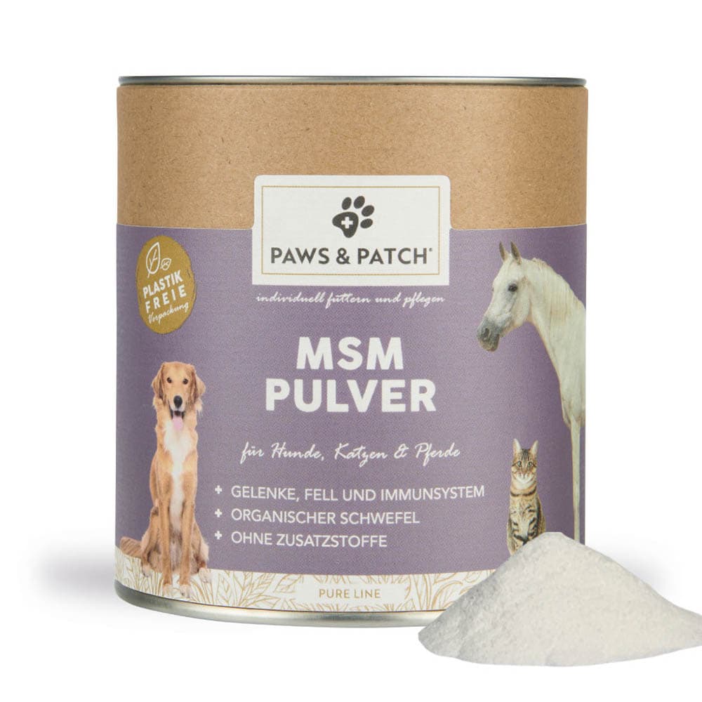 PAWS & PATCH MSM Pulver für Hunde, Katzen und Pferde_0