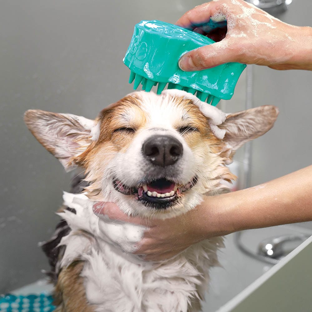 Kong ZoomGroom Bubbles 1 Stück_1