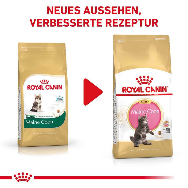 Royal Canin Maine Coon Trockenfutter für Kätzchen_6