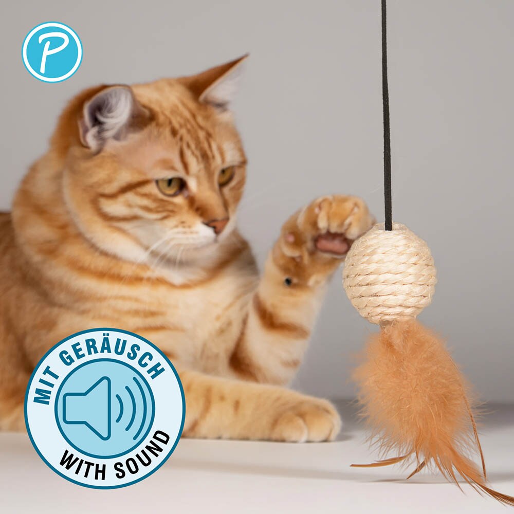 Petlando Katzenangel Sisalball_2