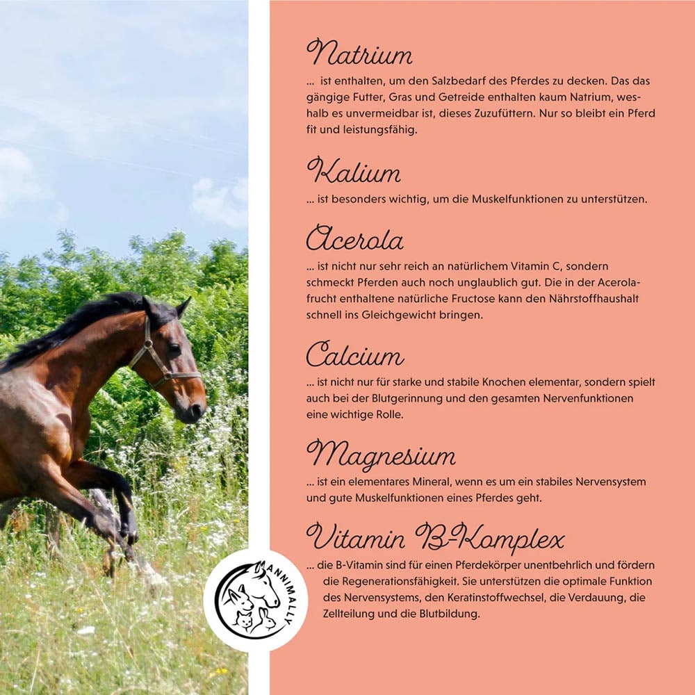 Annimally Elektrolyte Liquid_4