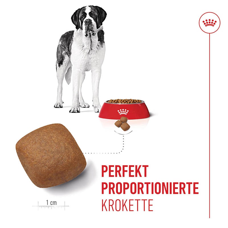 Royal Canin Giant Junior Welpenfutter trocken für sehr große Hunde_4