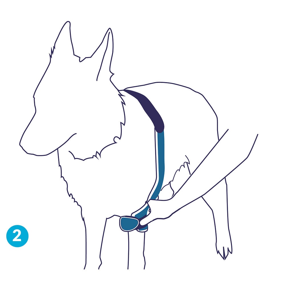 Balto Rehab Orthese BT Soft Plus Beidseits_3