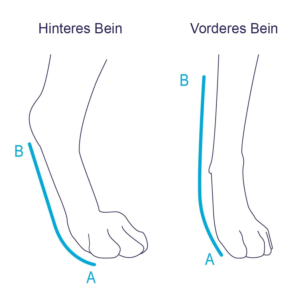 Balto Rehab-Orthese BT Splint _2