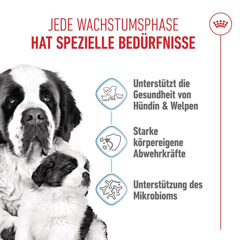 Royal Canin Giant Starter für tragende Hündin und Welpen großer Rassen_1