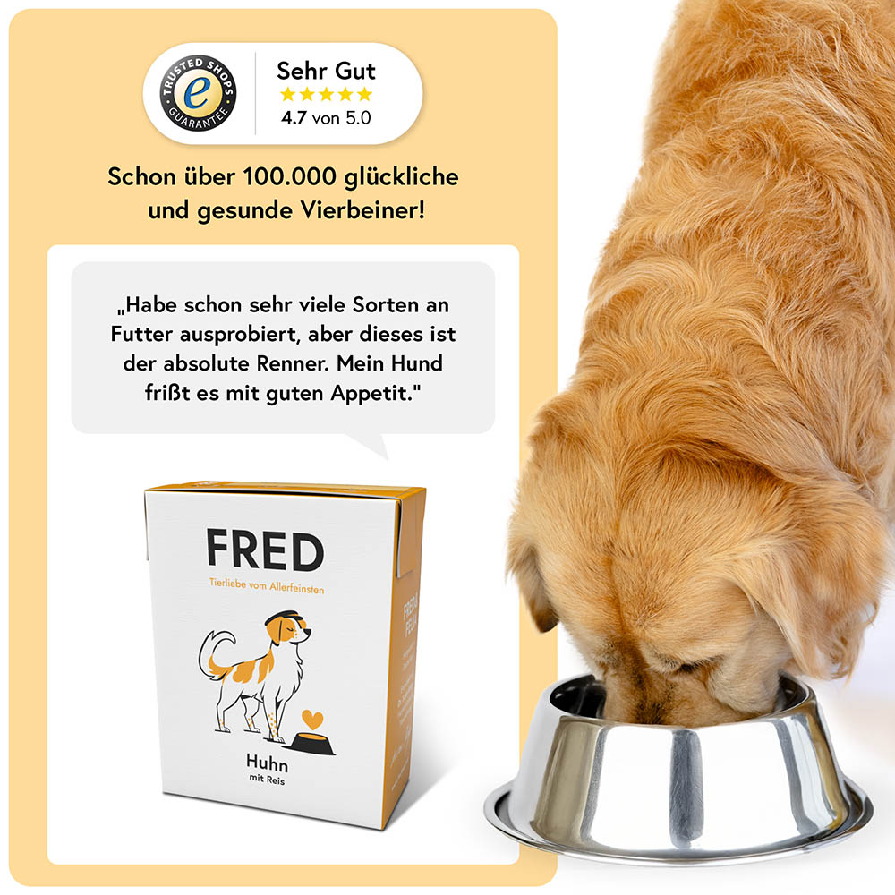 Fred Huhn mit Reis_3