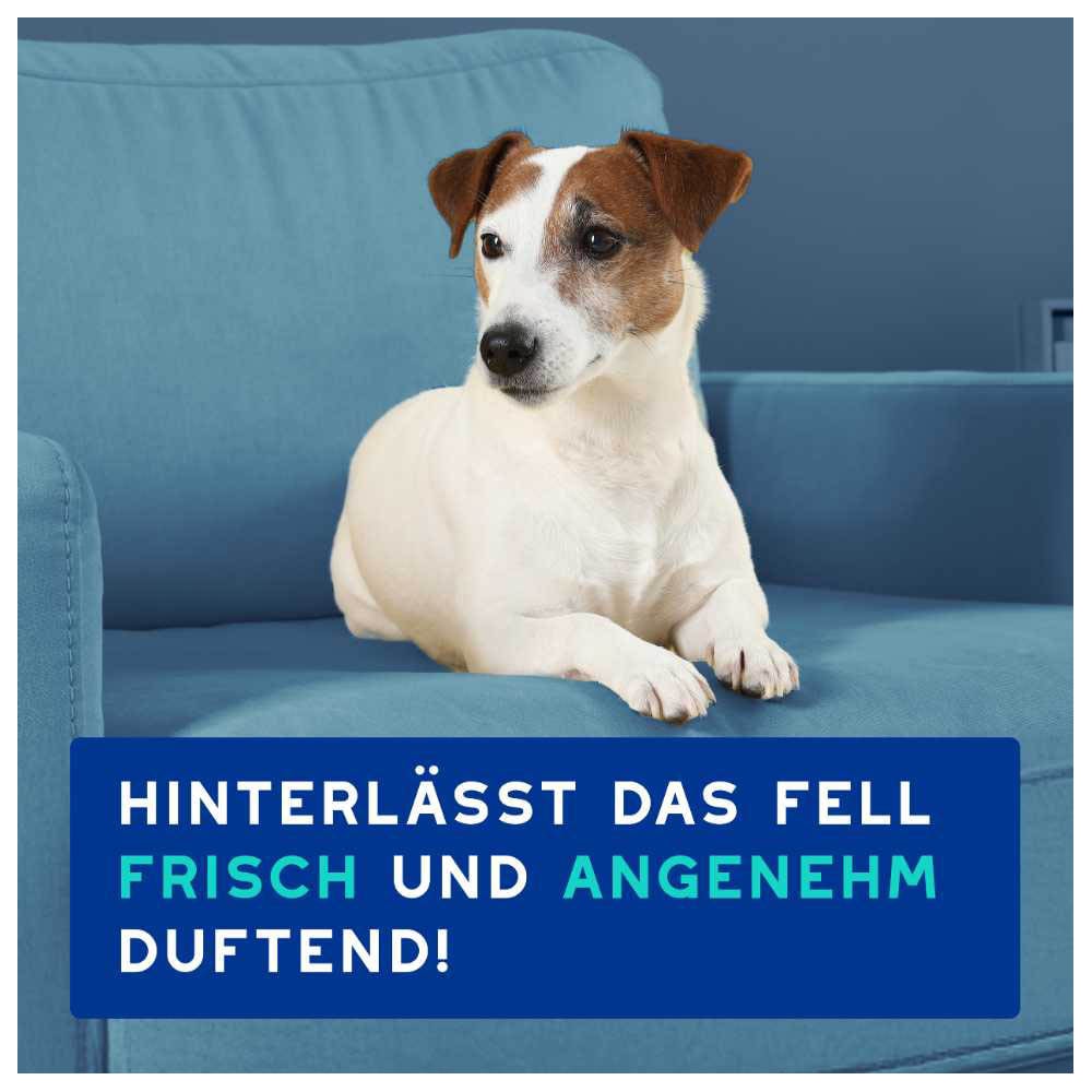 Douxo Spa Hundeshampoo gegen Geruch_5