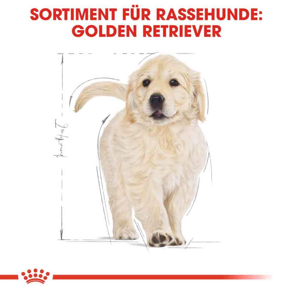 Royal Canin Golden Retriever Puppy Welpenfutter trocken_5