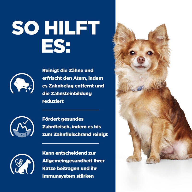 Hills Prescription Diet t/d Mini Hundefutter _3