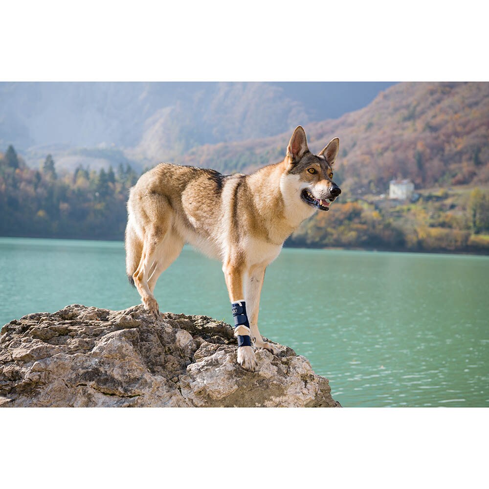 Balto Rehab-Orthese BT Splint _1