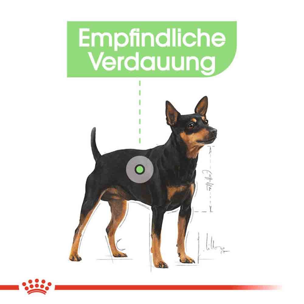 Royal Canin Digestive Care Mini Trockenfutter für kleine Hunde mit empfindlicher Verdauung_2