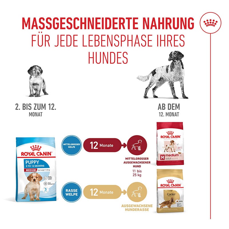 Royal Canin Medium Puppy Trockenfutter für Welpen mittelgroßer Hunderassen_5