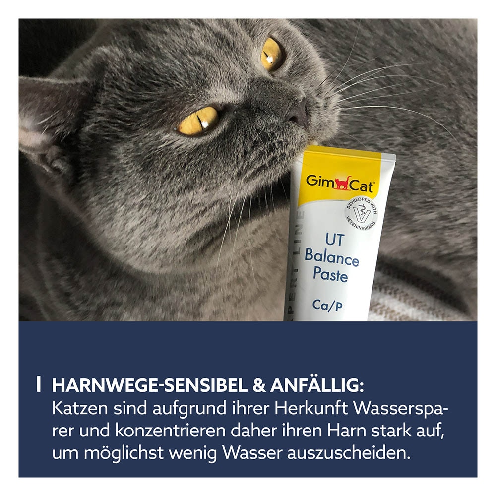 GimCat UT Balance Paste_2
