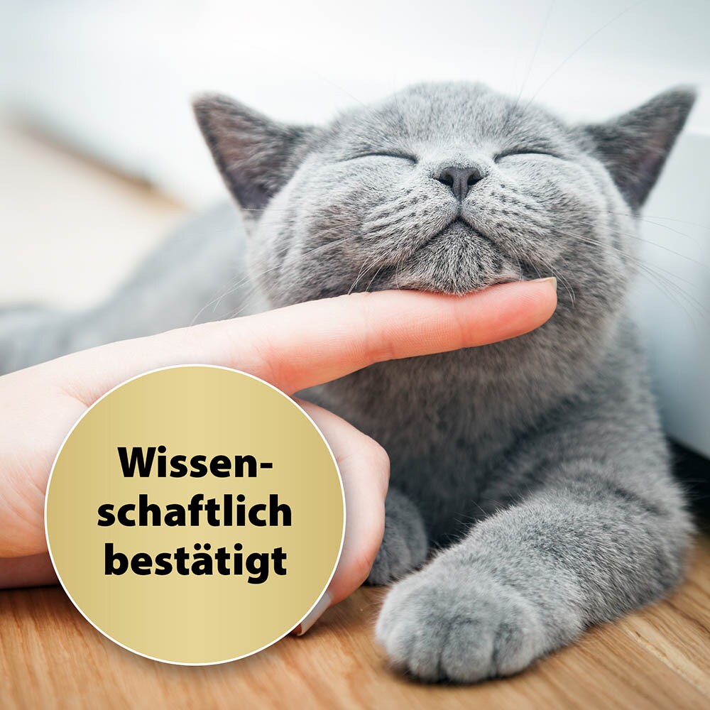Felisept Home Comfort Beruhigungshalsband für Katzen_3