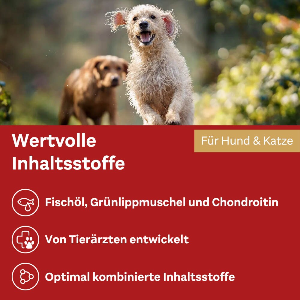 Doppelherz Gelenk Öl für Hunde und Katzen_6