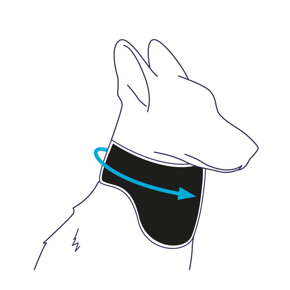 Balto Halsmanschette BT Neck Eco _5