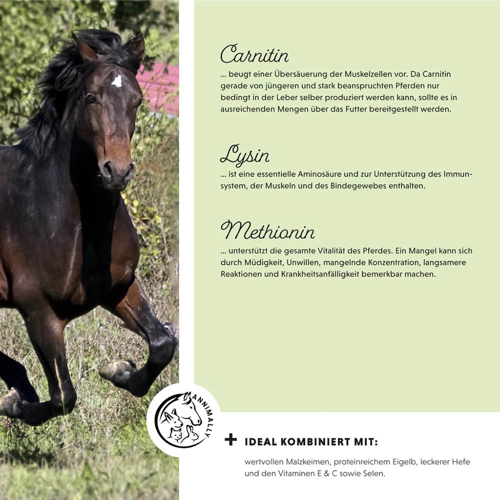 Annimally Muskelpower Pulver_5