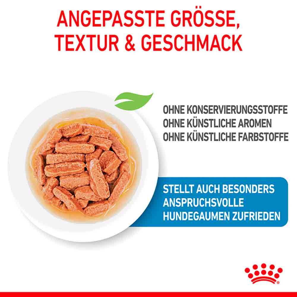 Royal Canin Medium Puppy Welpenfutter nass für mittelgroße Hunde bis zum 12. Monat_2