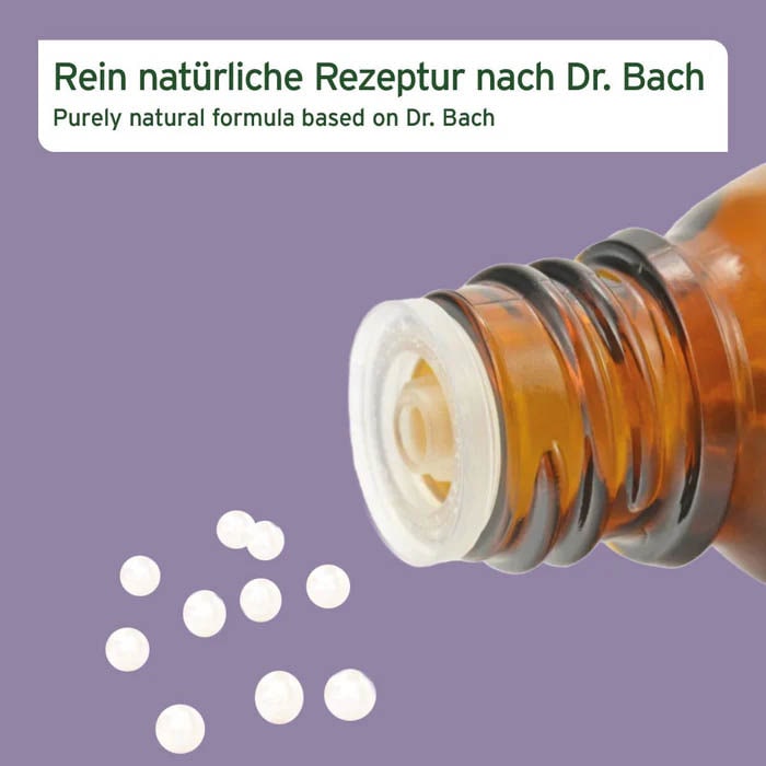AniForte Bachblüten No.31 Vervain_1