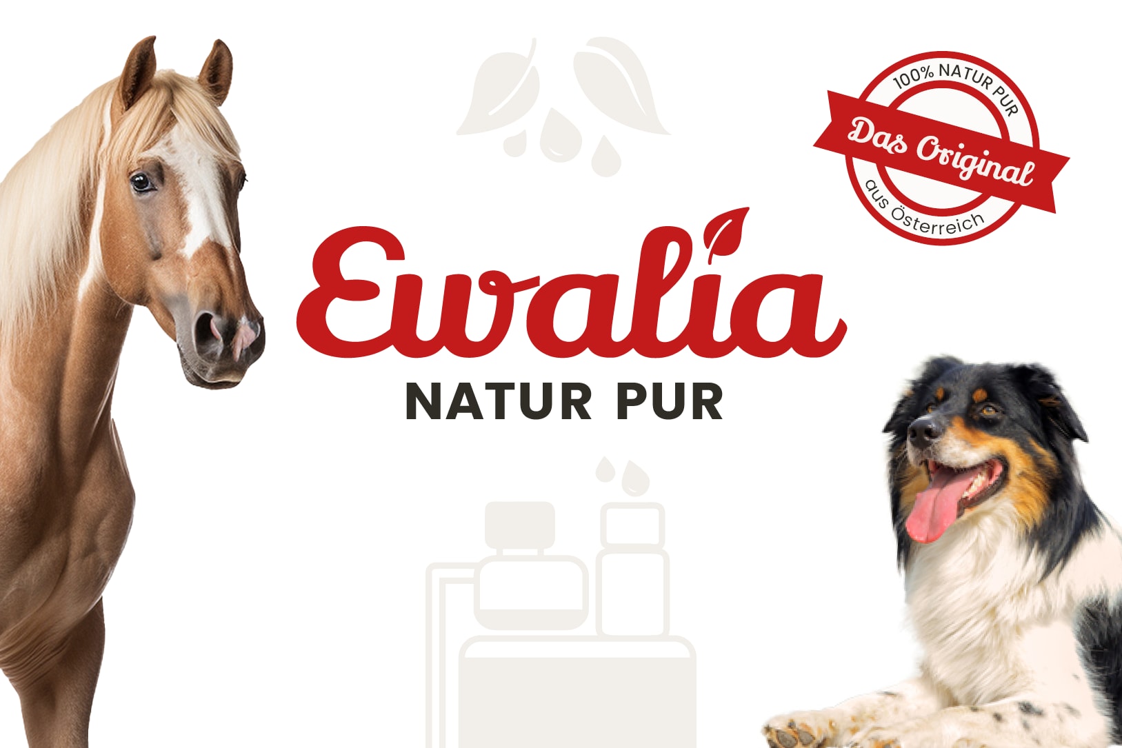 Ewalia Ewalia
